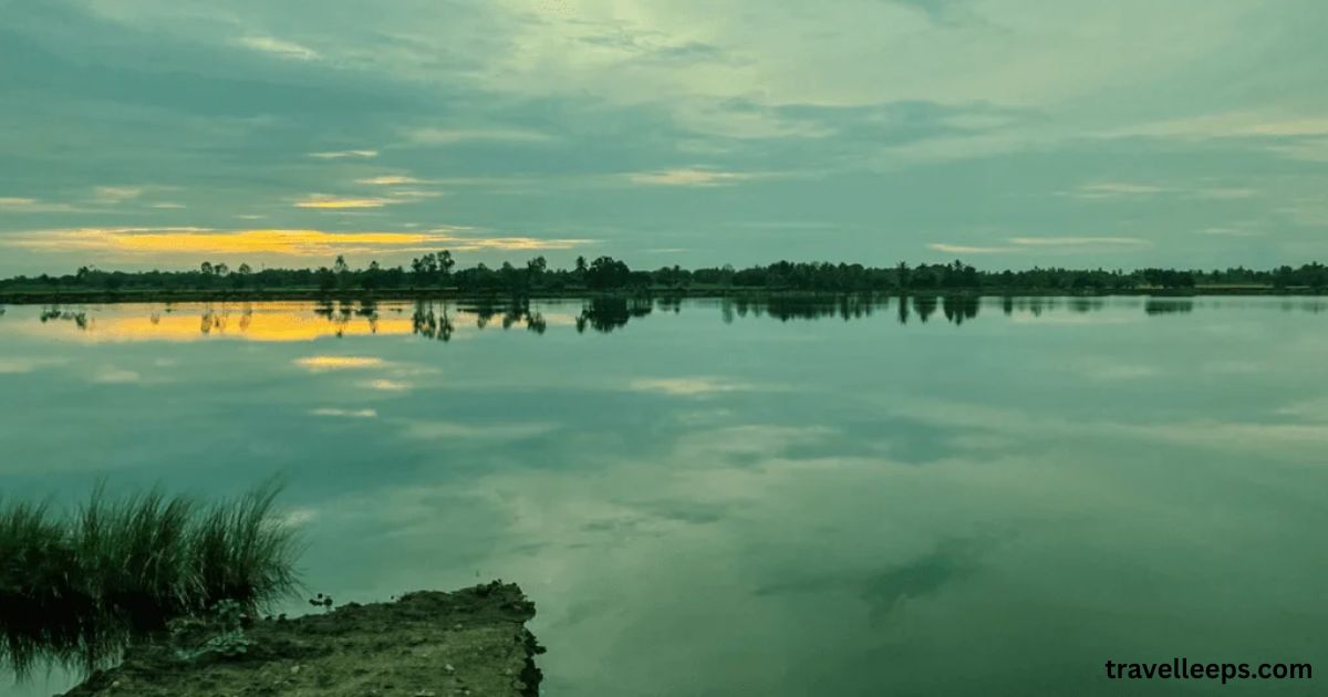 Exclusive panoramic view of Kolleru Lake Bird Sanctuary with migratory birds and serene waters